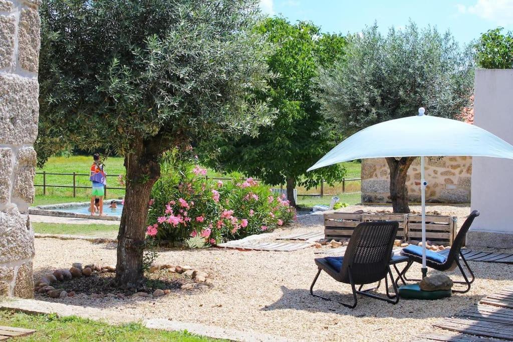 فيلا Quinta Vale Da Prata سيلوريكو دا بيرا المظهر الخارجي الصورة