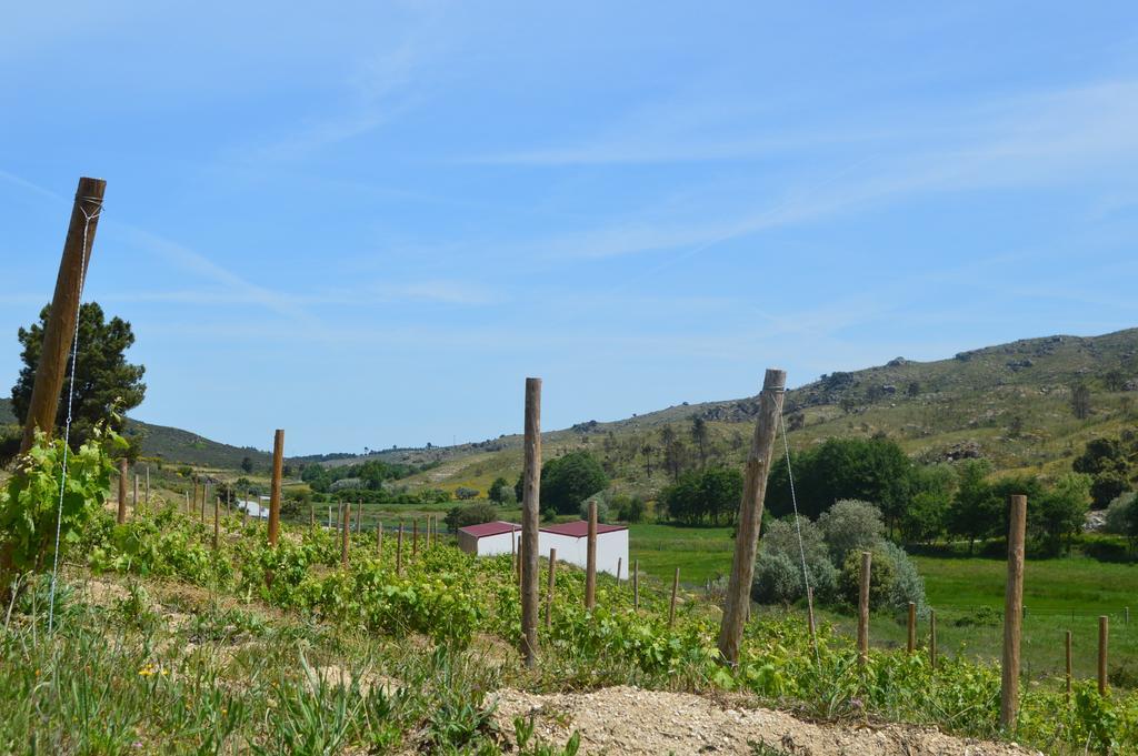فيلا Quinta Vale Da Prata سيلوريكو دا بيرا المظهر الخارجي الصورة