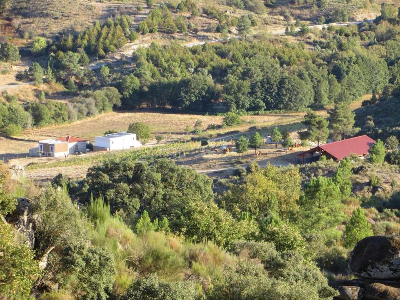فيلا Quinta Vale Da Prata سيلوريكو دا بيرا المظهر الخارجي الصورة