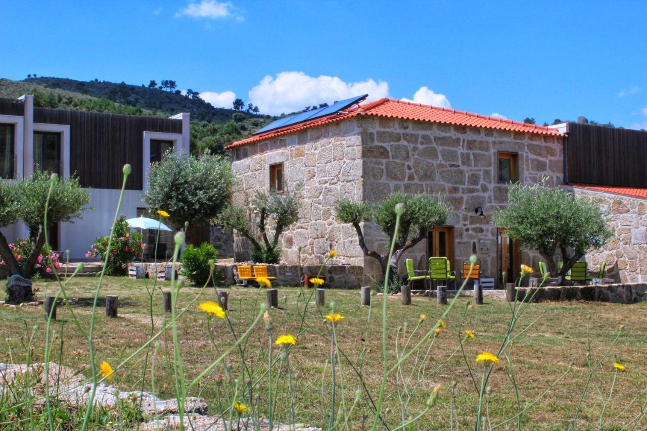 فيلا Quinta Vale Da Prata سيلوريكو دا بيرا المظهر الخارجي الصورة